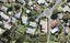 15 Firle Place, Green Bay, Auckland - Carousel 1