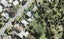 14 Okura River Road, Albany - Carousel 1