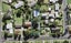 8 Rewarewa Road, Te Atatu Peninsula, Auckland - Carousel 1