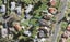 49A Boundary Road, Blockhouse Bay, Auckland - Carousel 1
