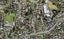 39B Whitmore Road, Mount Roskill, Auckland - Carousel 1