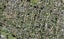 10D Bagnall Avenue, Point England, Auckland - Carousel 1