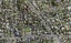 119B New Windsor Road, New Windsor, Auckland - Carousel 1
