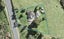 1791 East Coast Road, Albany - Carousel 1