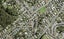 22 Castleford Street, Green Bay, Auckland - Carousel 1