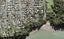 23 Harrybrook Road, Green Bay, Auckland - Carousel 1