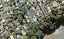 114 Cliff View Drive, Green Bay, Auckland - Carousel 1