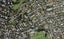 1/63B Owairaka Avenue, Mount Albert, Auckland - Carousel 1