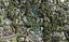 17B Woodfern Crescent, Titirangi, Auckland - Carousel 1