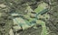5G Tyndel Road, Waitakere, Auckland - Carousel 1