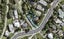 6/11 Seymour Road, Sunnyvale, Auckland - Carousel 1