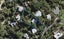 51 Hill Road, Palm Beach, Waiheke Island - Carousel 1