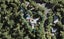 90 Park Road, Titirangi, Auckland - Carousel 1