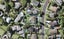 10 Judkins Crescent, Cockle Bay, Auckland - Carousel 1