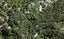 72 Park Road, Titirangi, Auckland - Carousel 1