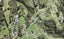 81 Vaughans Road, Albany - Carousel 1