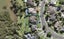 18 Landing Drive, Albany, Auckland - Carousel 1