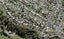 10A Springfield Road, Morningside, Auckland - Carousel 1