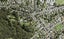 58A Castleford Street, Green Bay, Auckland - Carousel 1