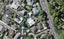 8/279 Lake Road, Belmont, Auckland - Carousel 1