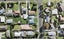 14 Hikurangi Street, Te Atatu Peninsula, Auckland - Carousel 1