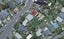 125 The Ridgeway, Mornington, Wellington - Carousel 1