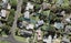 25 Ashcroft Avenue, Mangere Bridge, Auckland - Carousel 1