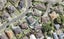 18A Leafield Crescent, Henderson, Auckland - Carousel 1