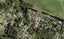 334F Redoubt Road, Totara Park, Auckland - Carousel 1