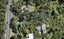356 Titirangi Road, Titirangi, Auckland - Carousel 1