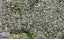 7/43 Tirimoana Road, Te Atatu South, Auckland - Carousel 1