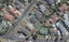 6 Vista Terrace, Hillcrest, Hamilton - Carousel 1