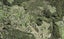 89 Coalmine Road, OPAHEKE, PAPAKURA - Carousel 1