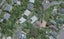 39 Bruce Avenue, Brooklyn, Wellington - Carousel 1