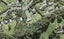 11 Attwood Road, Paremoremo, Auckland - Carousel 1