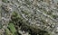 103B Western Springs Road, Morningside, Auckland - Carousel 1