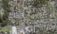 1B Zion Road, Birkenhead, Auckland - Carousel 1
