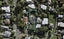 4 Ross Street, Remuera, Auckland - Carousel 1