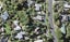 87 Cockle Bay Road, Cockle Bay, Auckland - Carousel 1