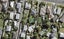 7/137 View Road, Sunnyvale, Auckland - Carousel 1
