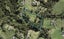183 Ridge Road, Albany - Carousel 1