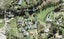 7C Hobbs Road, Matakatia, Whangaparaoa - Carousel 1