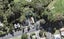 33A Godley Road, Green Bay, Auckland - Carousel 1