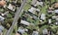 7 Wallace Road, Mangere Bridge, Auckland - Carousel 1
