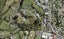 304 Birdwood Road, Massey, Auckland - Carousel 1