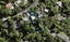 17 Takahe Road, Titirangi, Auckland - Carousel 1