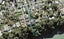 68A Cliff View Drive, Green Bay, Auckland - Carousel 1