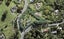 158 The Avenue, Lucas Heights, Auckland - Carousel 1