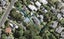 35A Fairmount Road, Titirangi, Auckland - Carousel 1