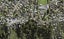 366B Hillsborough Road, Hillsborough, Auckland - Carousel 1